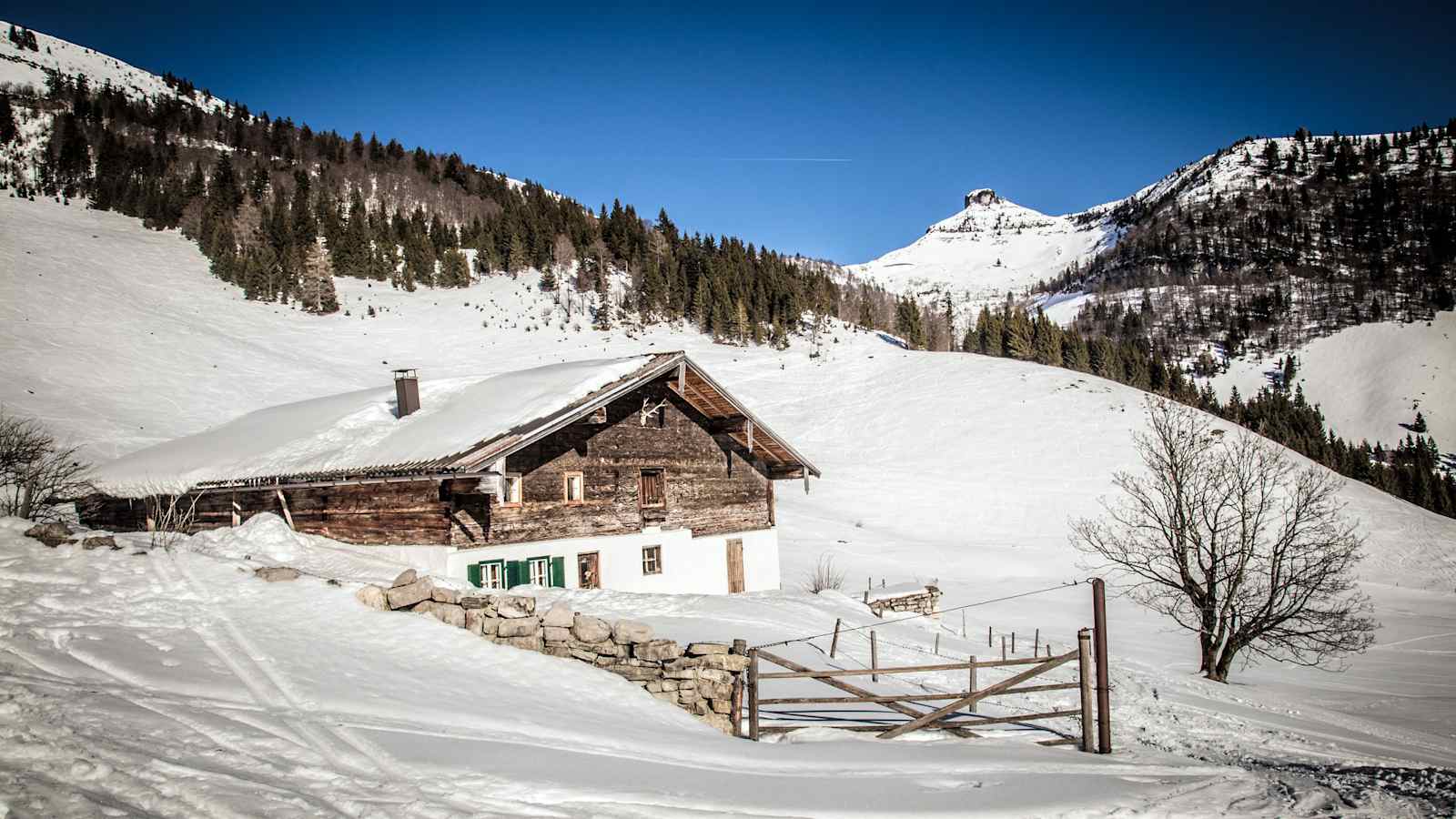 Skitour Schlenken Salzburg