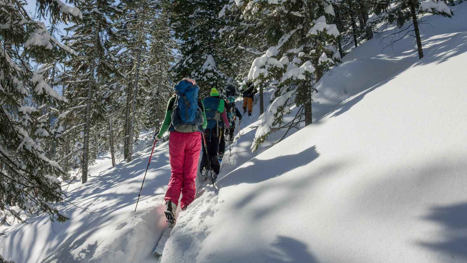 Skitourengruppe im Wald