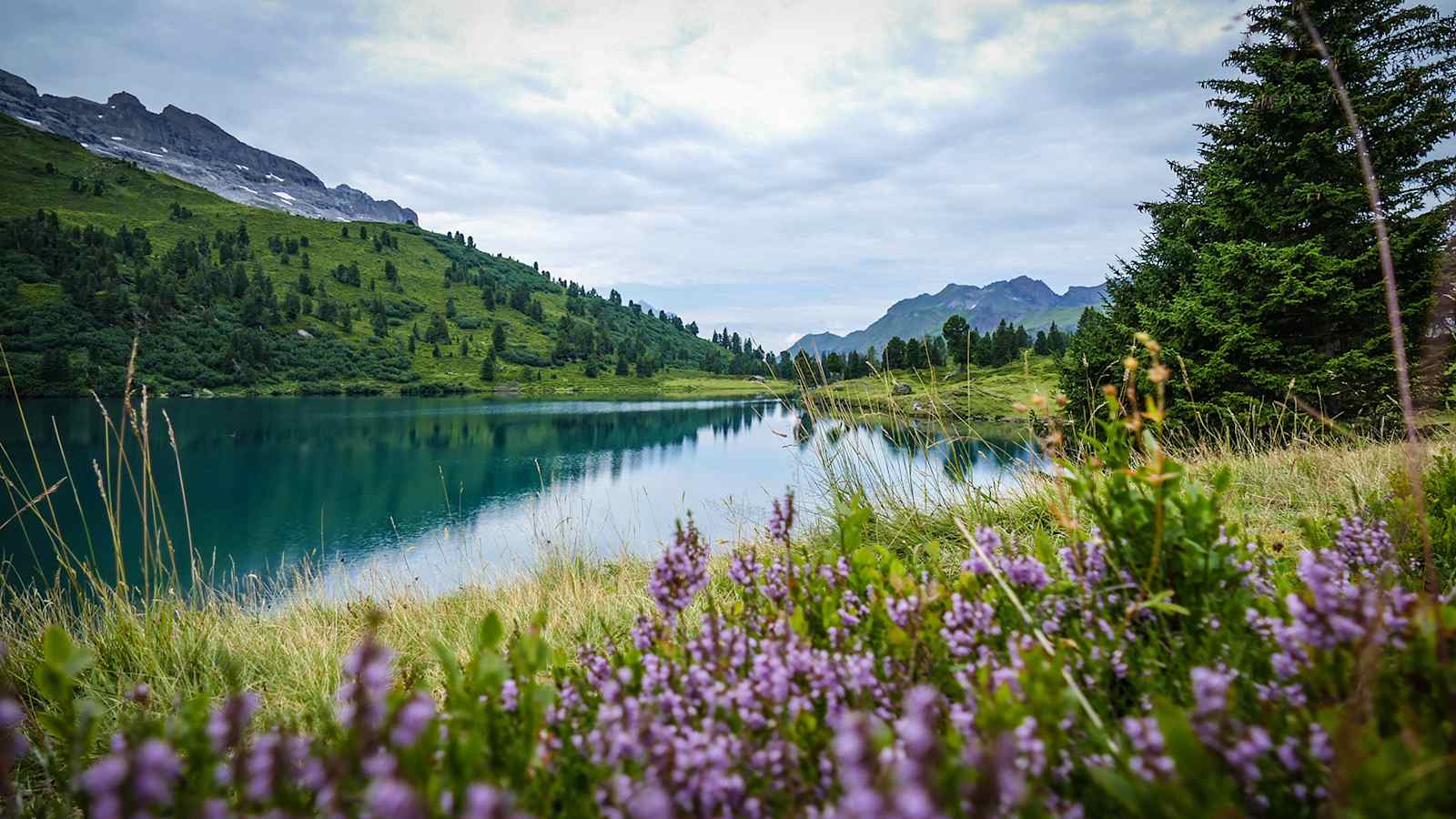 Der Weg führt an einer fantastischen Flora und Fauna am See im Gebiet vom Hasliberg entlang. 