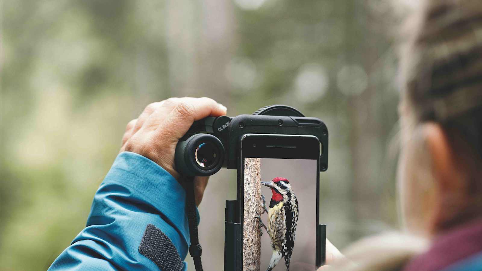 Mit dem Smartphone-Adapter können sogar Tiere durch das Fernglas fotografiert werden.