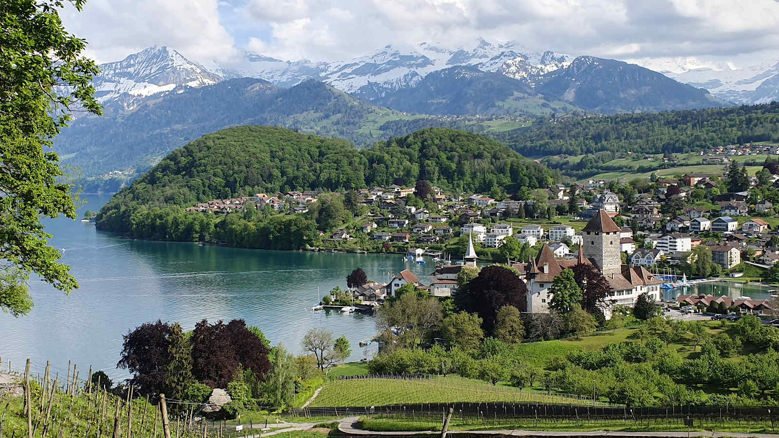 Blick auf Spiez und den Thunersee