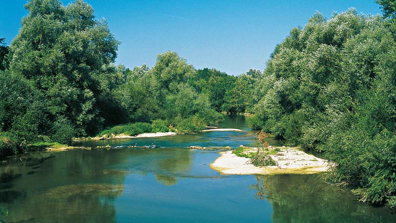 Der natürliche Flusslauf der Saulx