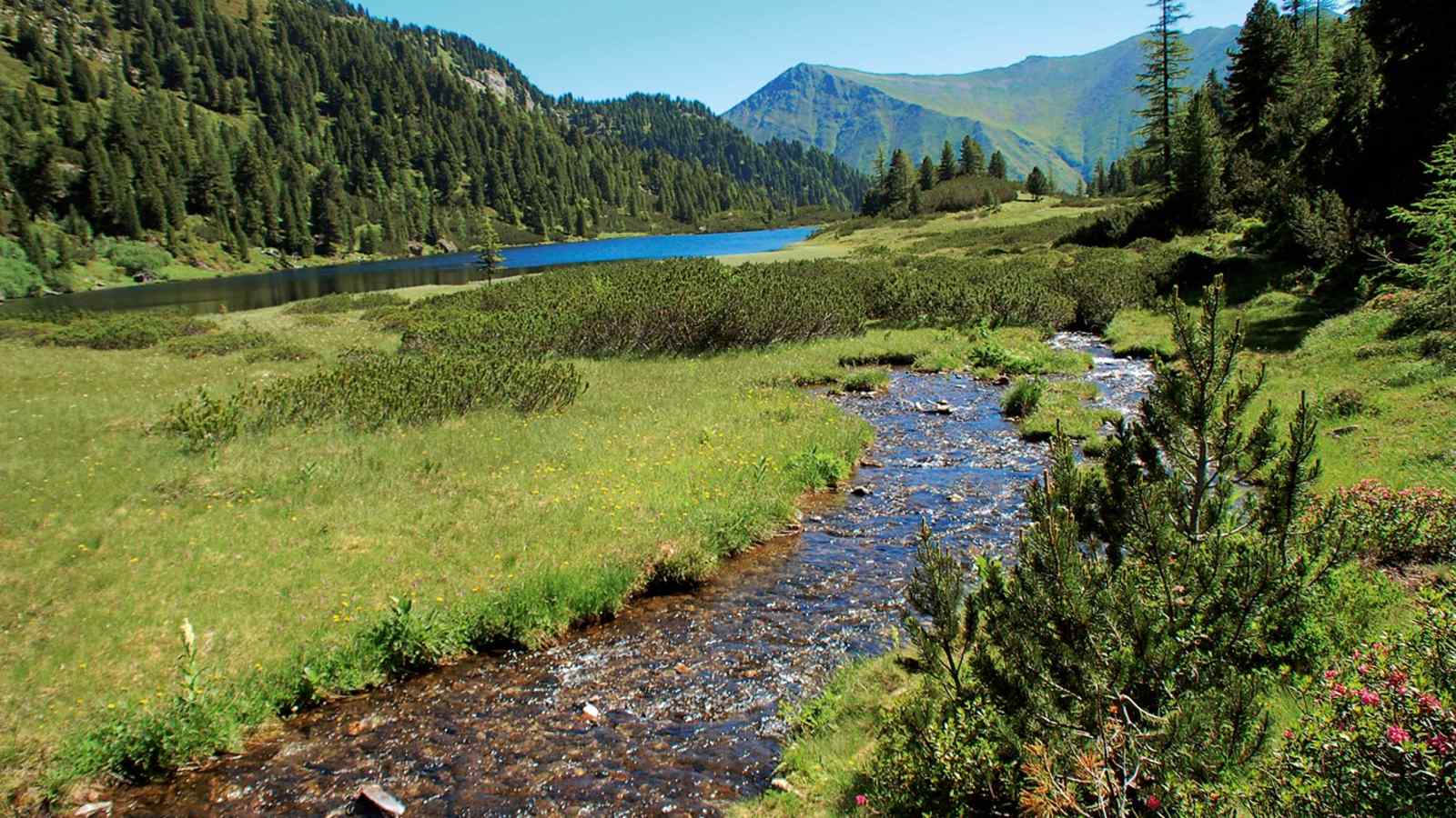 Der wunderschön gelegene Untere Zwieflersee in den Wölzer Tauern.