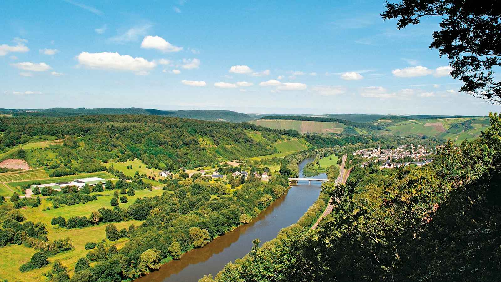 Am Drei-Skulpturenblick am Moselsteig-Seitensprung: Saar-Riesling-Steig.