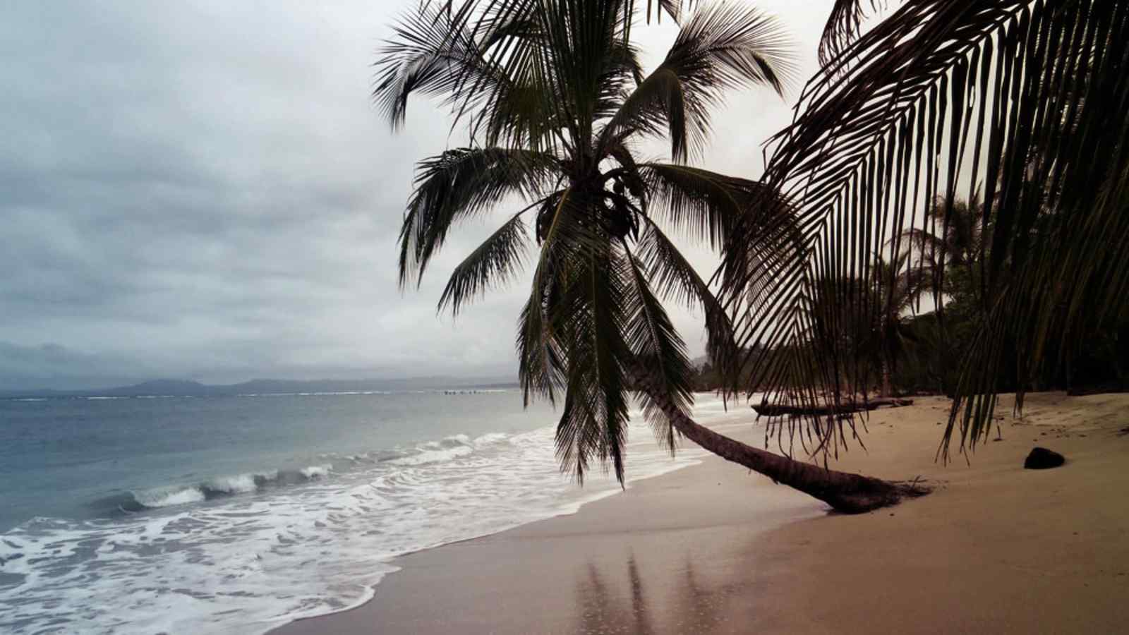 Nationalpark Cahuita Costa Rica