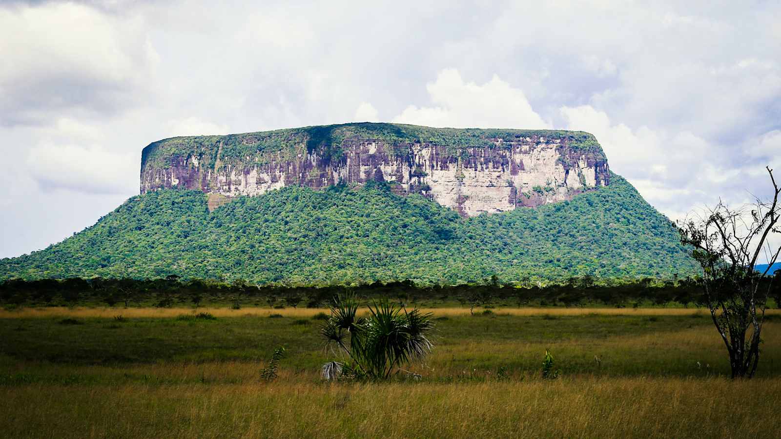 Amaurai Tepui