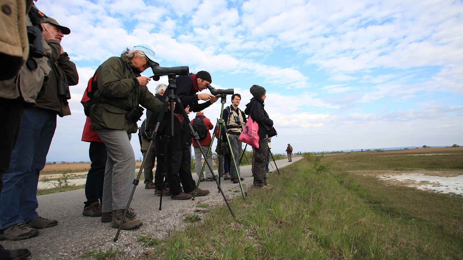 Vogelbeobachtung im Nationalpark Neusiedlersee - Seewinkel