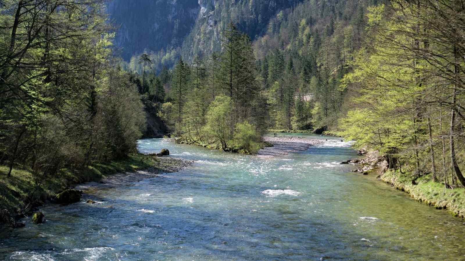 Naturfreunde Wildwasserzentrum Wildalpen