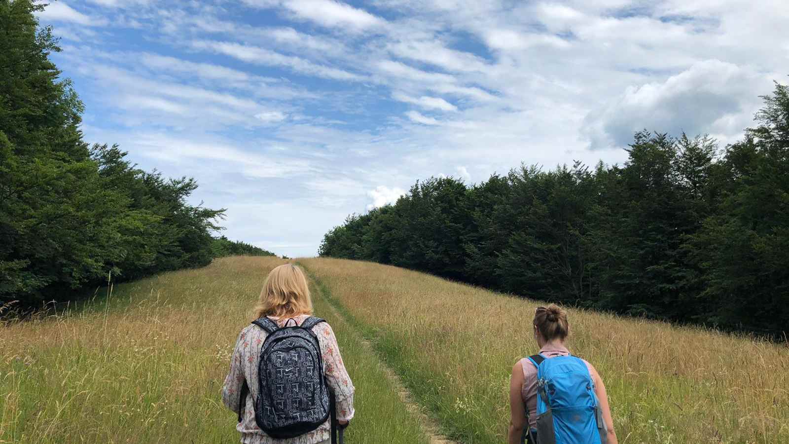 Wanderweg auf den Schöpfl