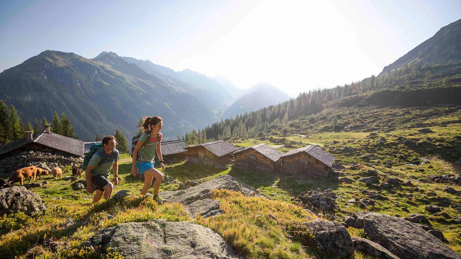 Wanderung zur Alpguesalpe