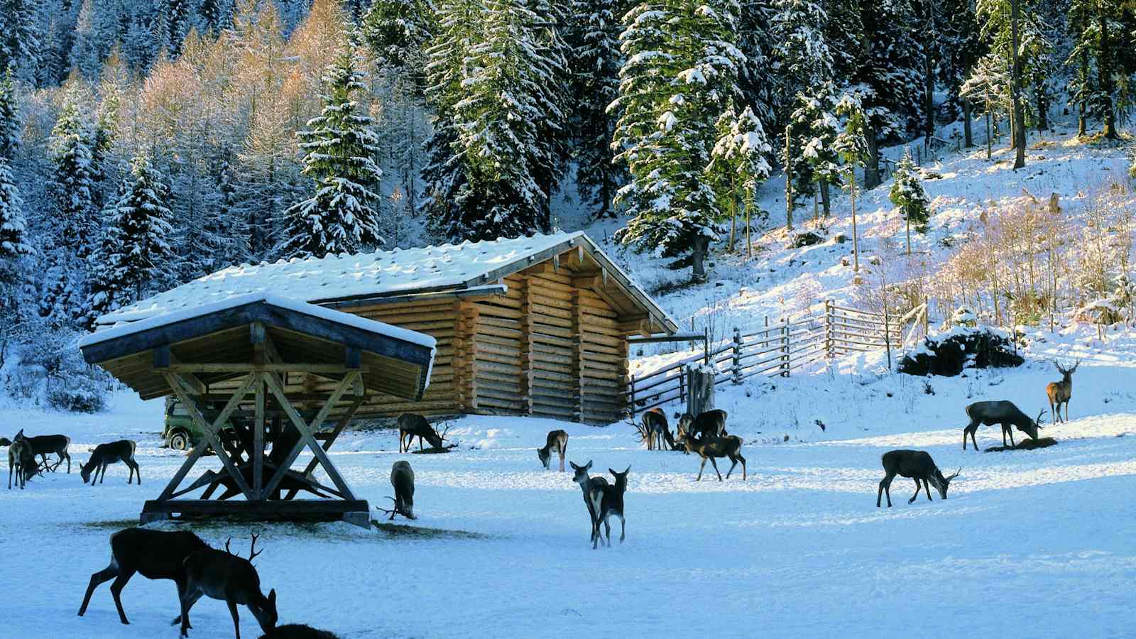 Berchtesgadener Land