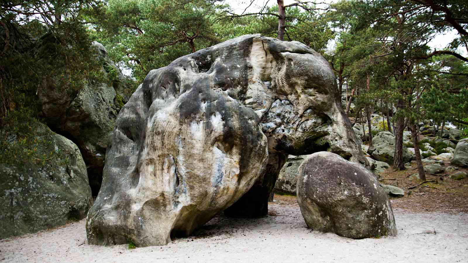 Der Boulder L´éléphant in Fontainebleau