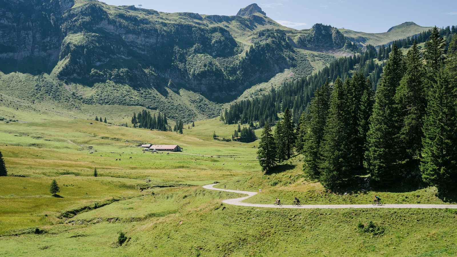 Bikepacking Anfänger Guide Beginner Guide