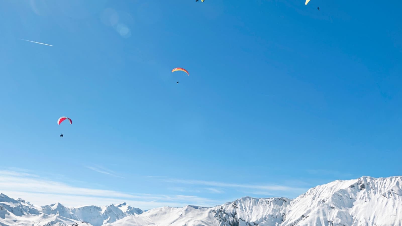 Eine Scharr an Paragleiter in der Luft.