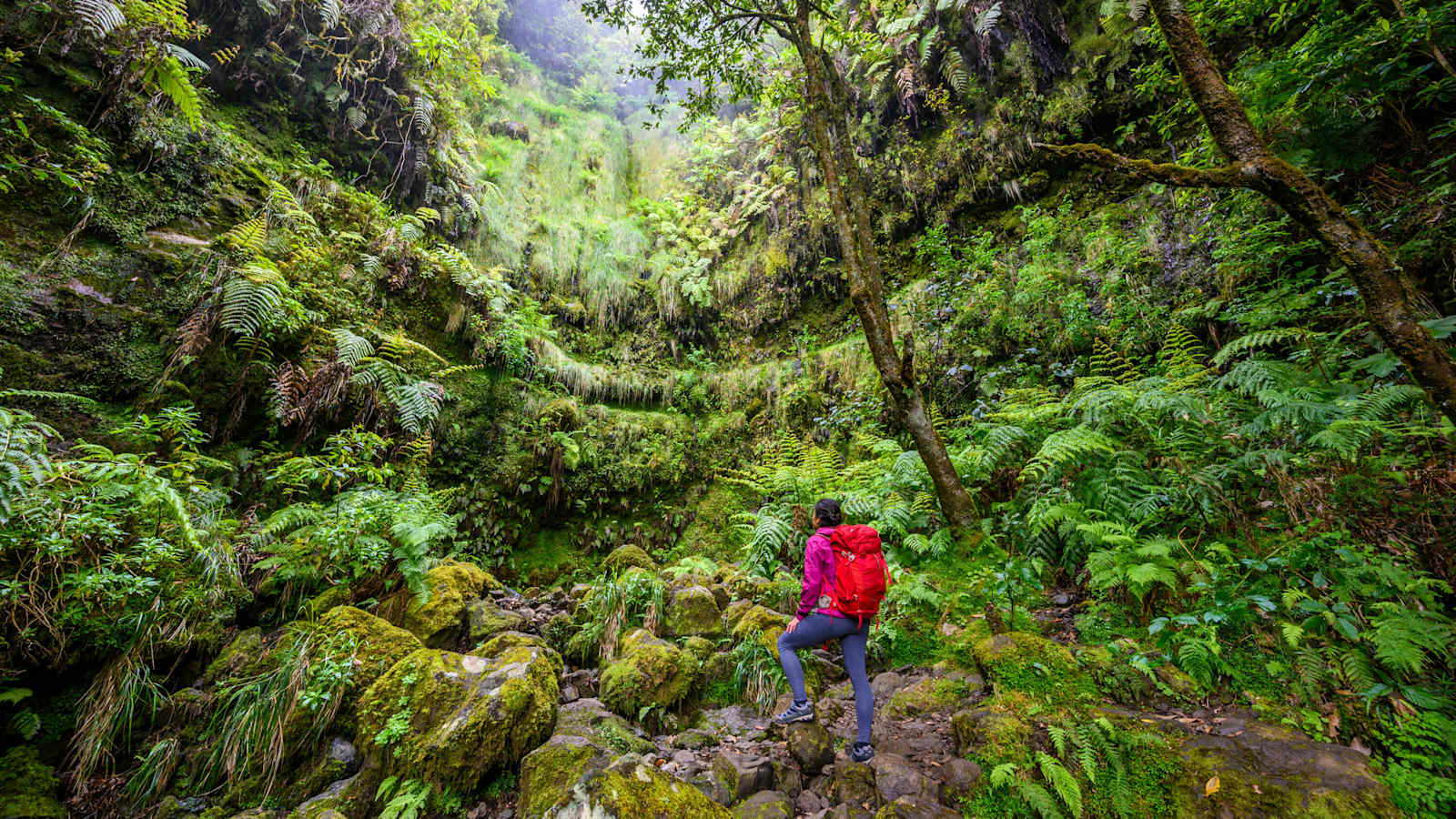 Wanderung Caldeirão Verde