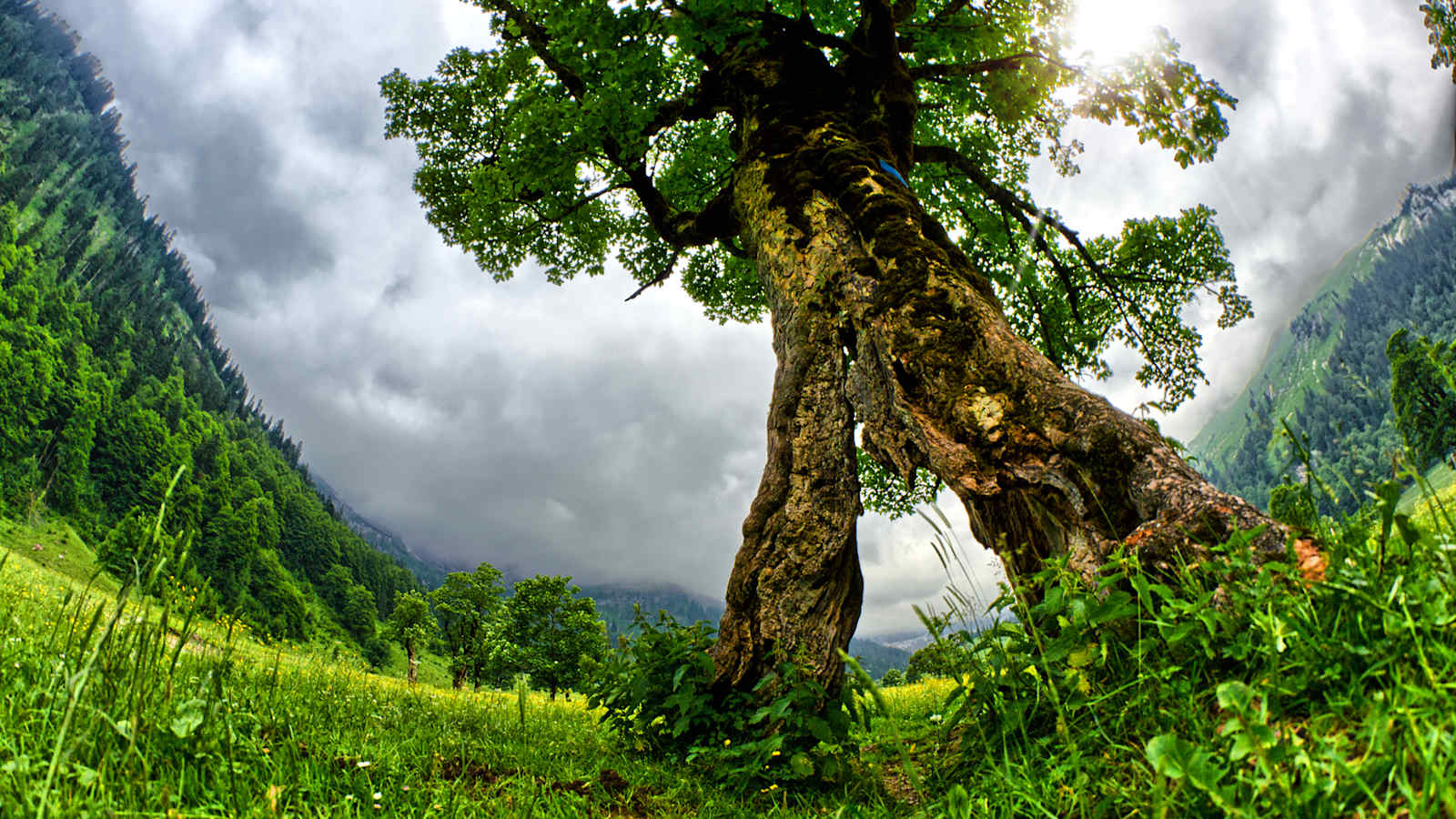 Wandern in Hall-Wattens