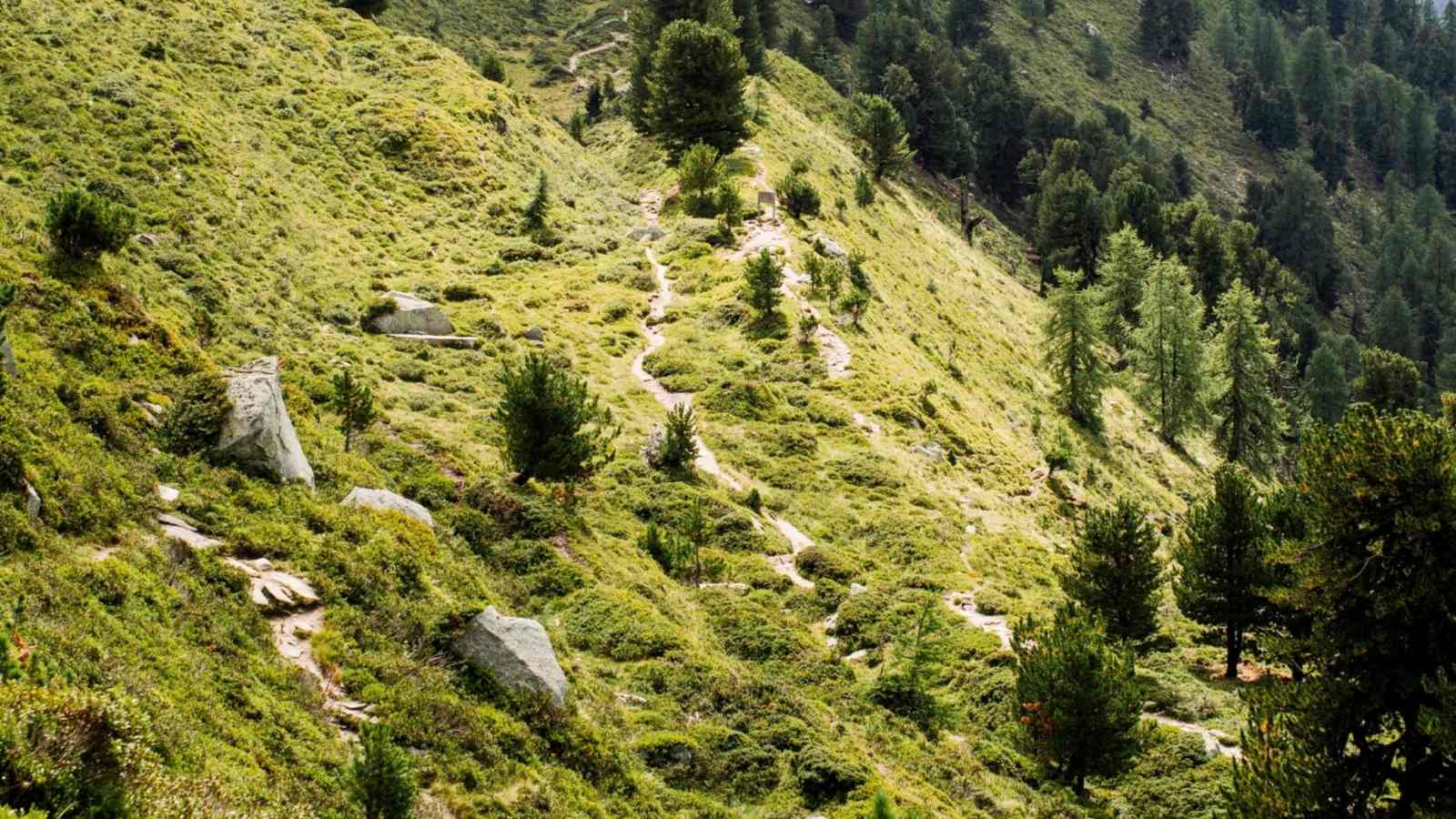 Die hügelige Berglandschaft.