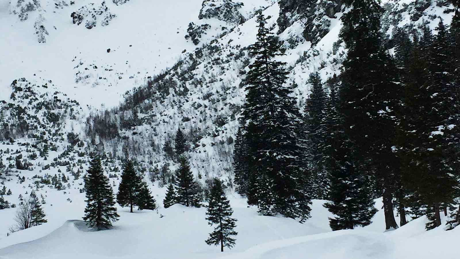 Skitour in den Allgäuer Alpen: Zur Kanzelwand in Bayern