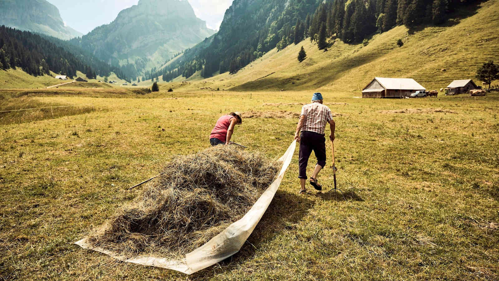 Die Bauern bei der Arbeit.