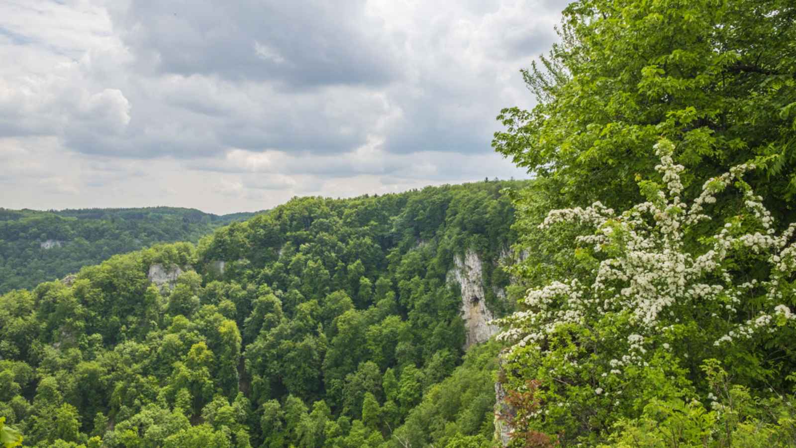 Wandern an der Schwäbischen Alb: Entlang des Wasserfallsteigs in Bad Urach in Baden-Württemberg