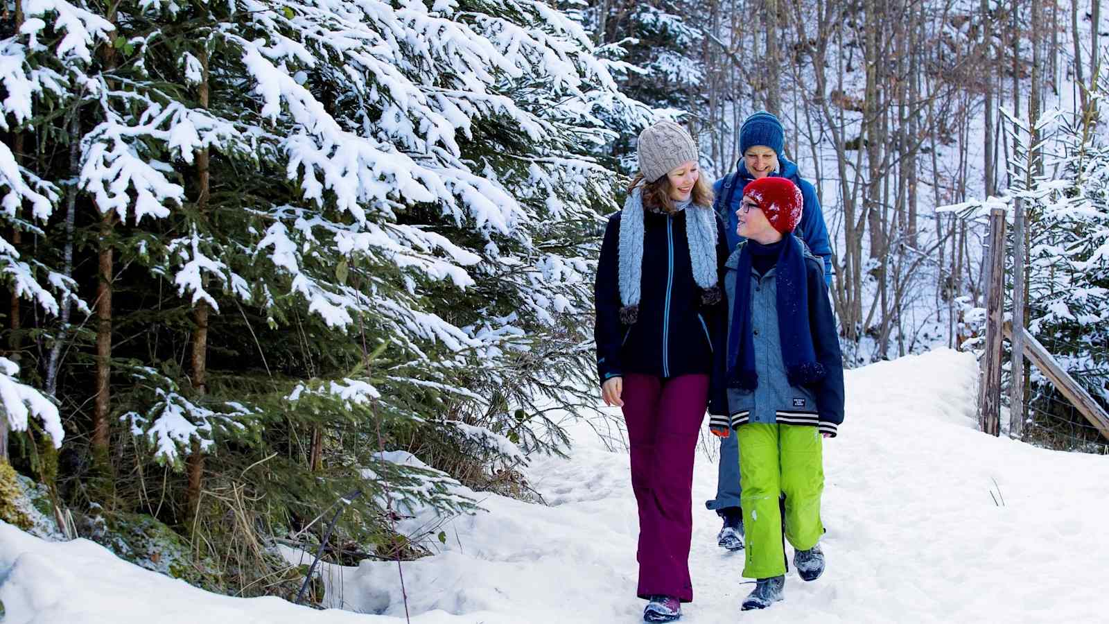 Die Familie wandert durch den Wald zurück zum Ausgangspunkt