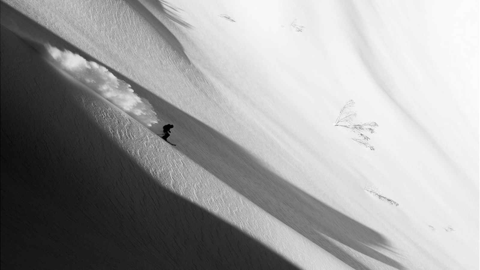 Freerider in Japan