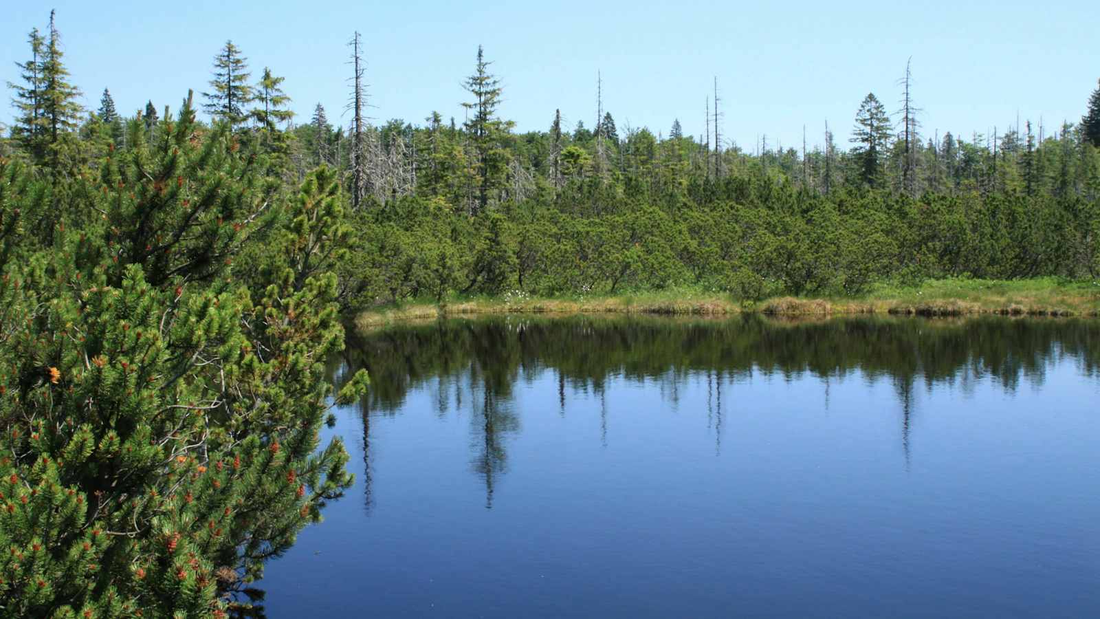 Nationalpark Bayerischer Wald