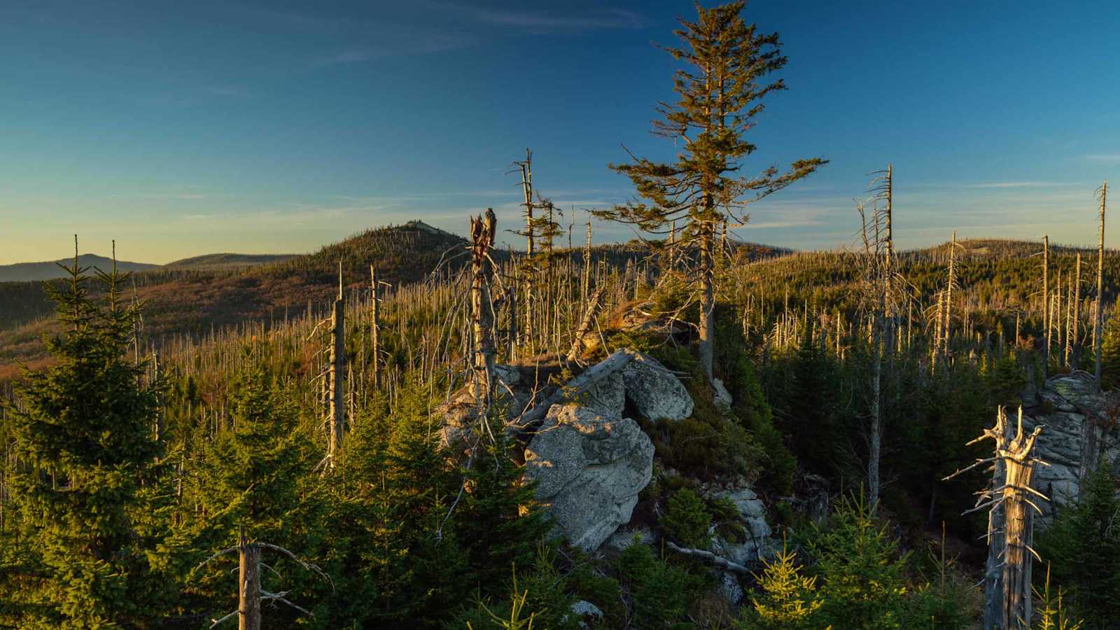 Nationalpark Bayerischer Wald