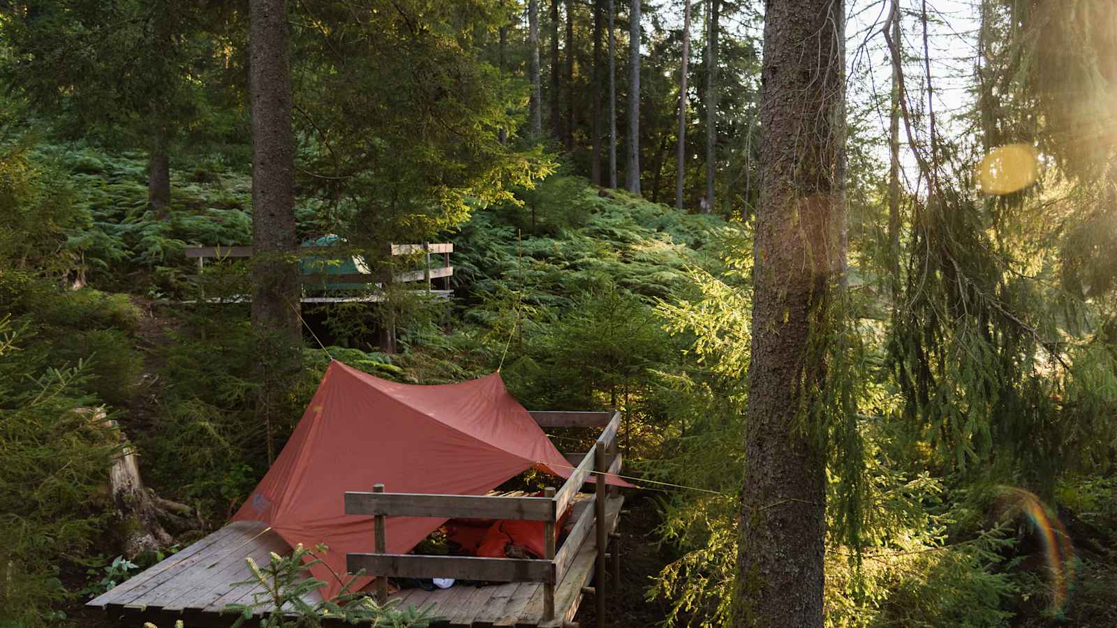 Wildzelten und Wildcampen in Deutschland legal oder illegal