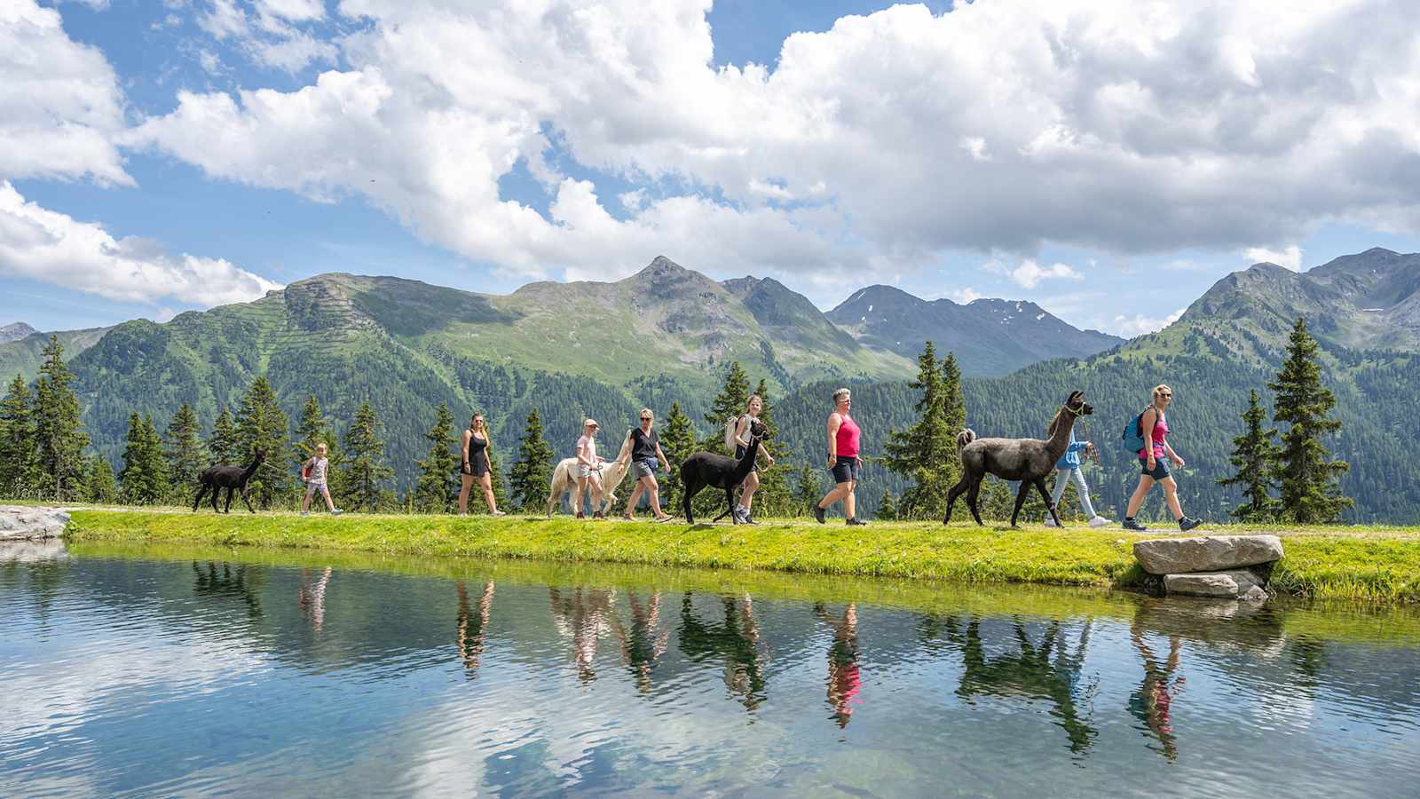 Ein unvergessliches Erlebnis: Wandern mit Alpakas inmitten der atemberaubenden Berglandschaft.