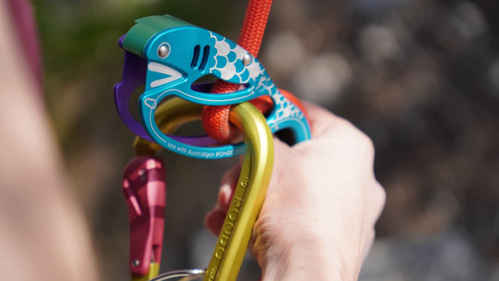 Unter Sportkletterern ist der Fish eine Legende: Das halbautomatische Sicherungsgerät kann sowohl zum Sichern als auch zum Abseilen verwendet werden.
