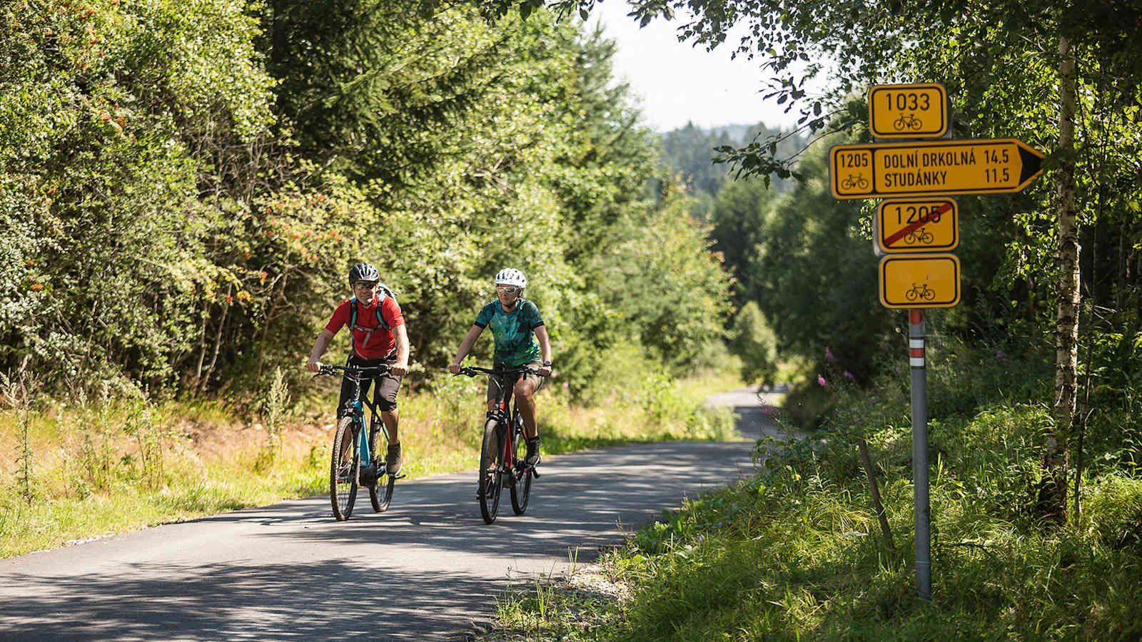 Ein Mann und eine Frau fahren mit dem Fahrrad auf einem Waldweg