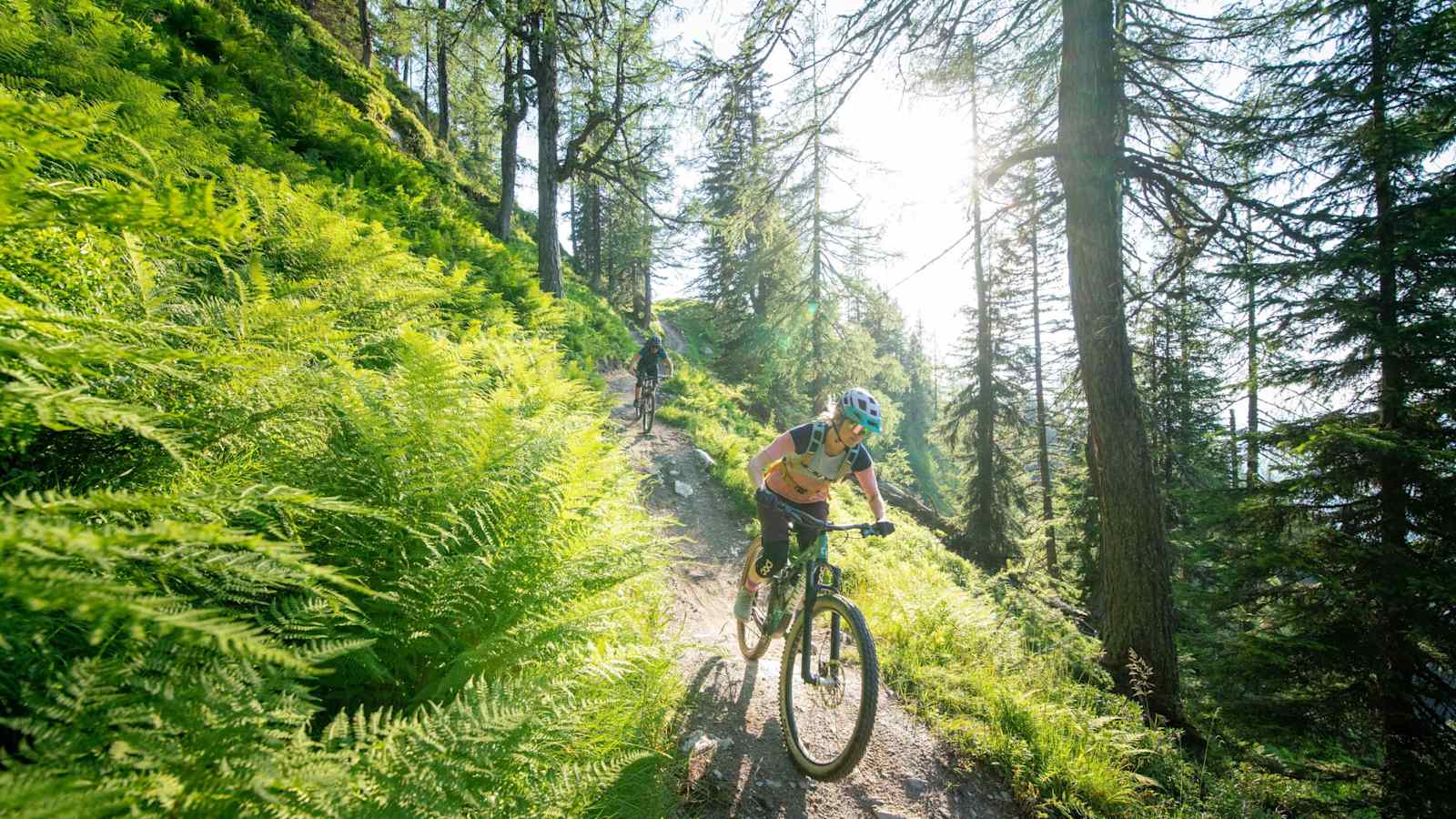 Die Region Schladming-Dachstein bietet Mountainbiketouren in allen Schwierigkeitsstufen.