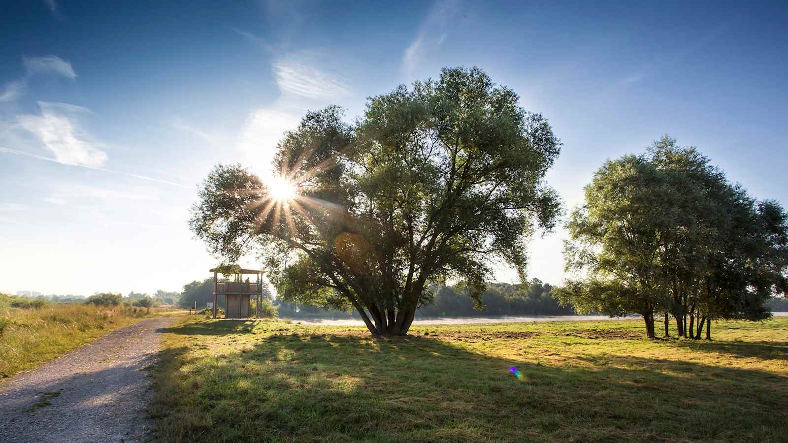 Aussichtsturm Donaumoos im Schwäbischen Donautal