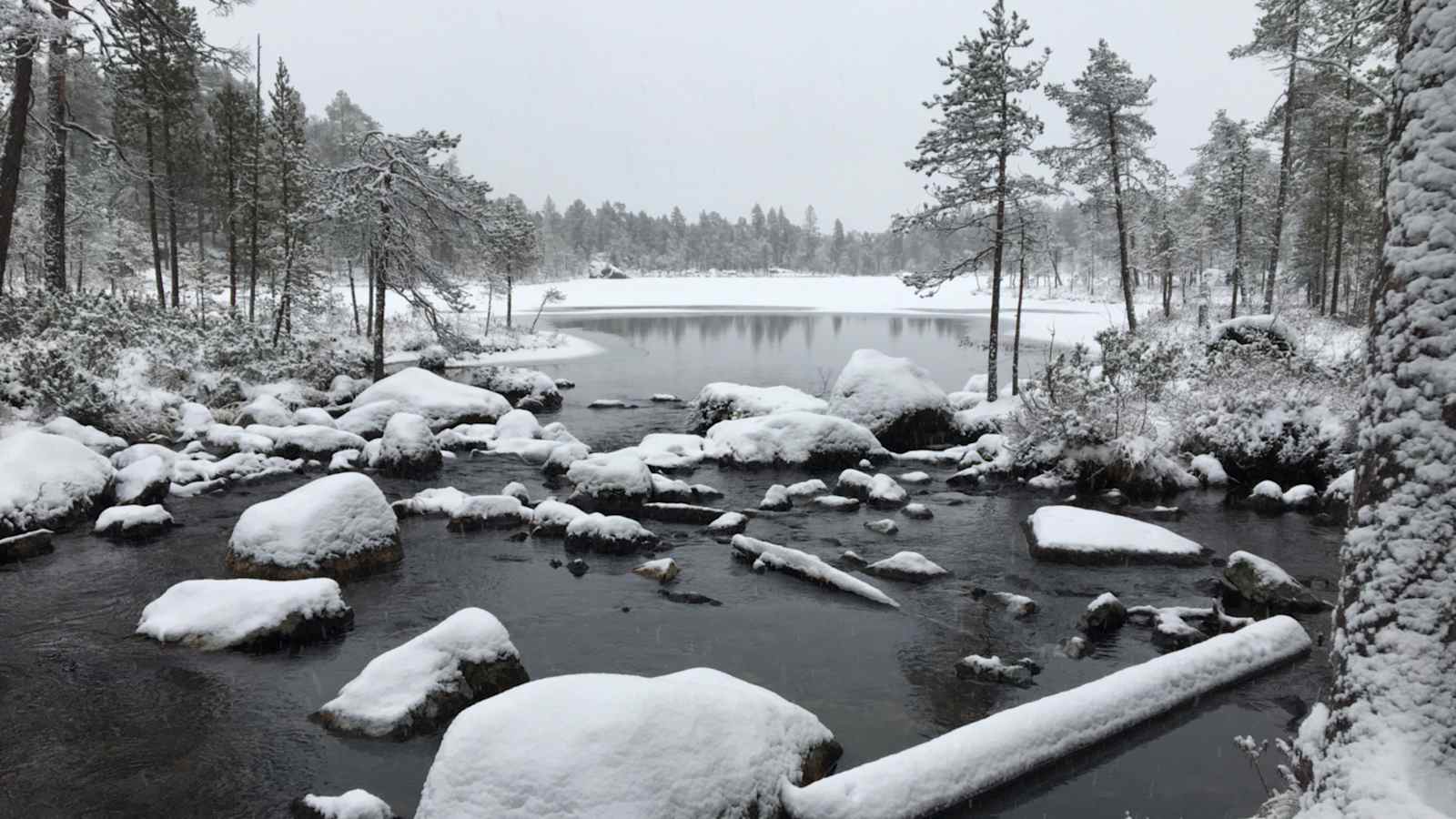 Wandern in Lappland