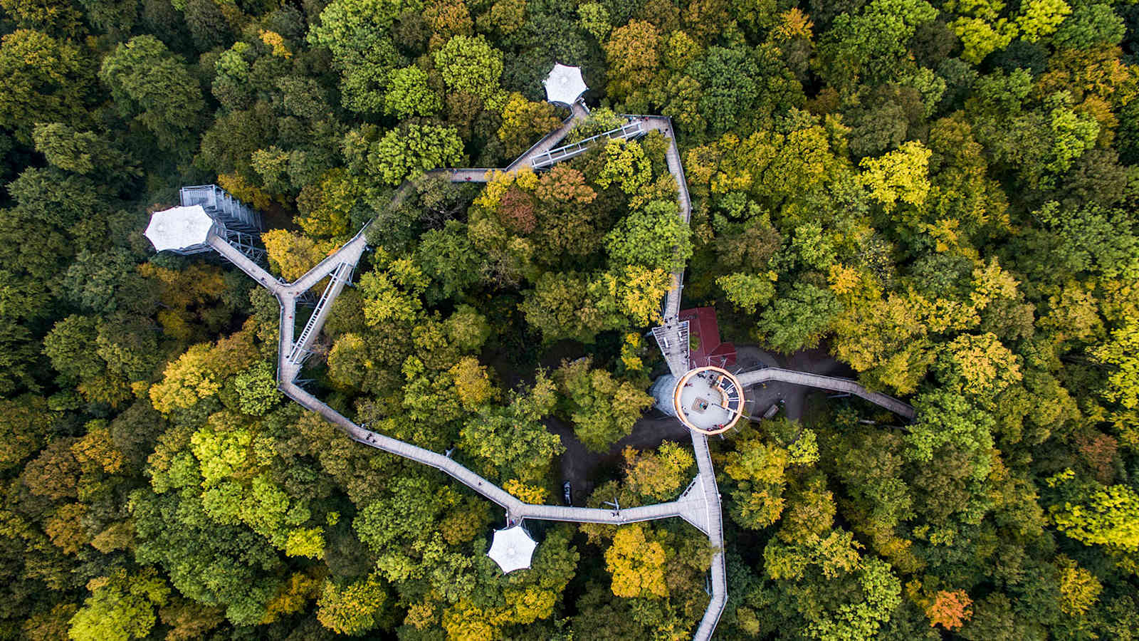 Baumkronenpfad im Nationalpark Hainich