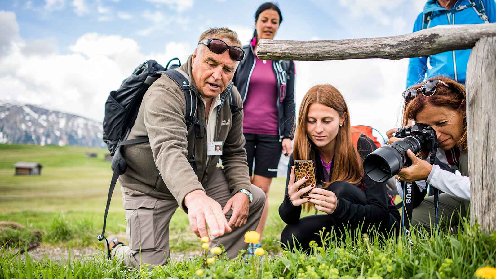 Spannende Einblicke in die Fauna und Flora der Dolomitenregion Seiser Alm werden bei den Blumenwanderungen der Veranstaltungsreihe „Seiser Alm Balance“ geboten.