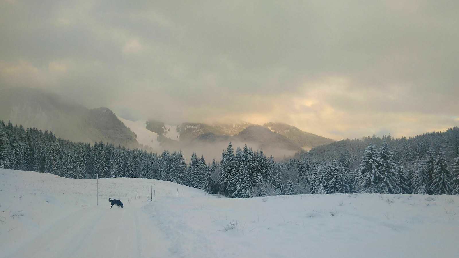 Brecherspitz in Bayern