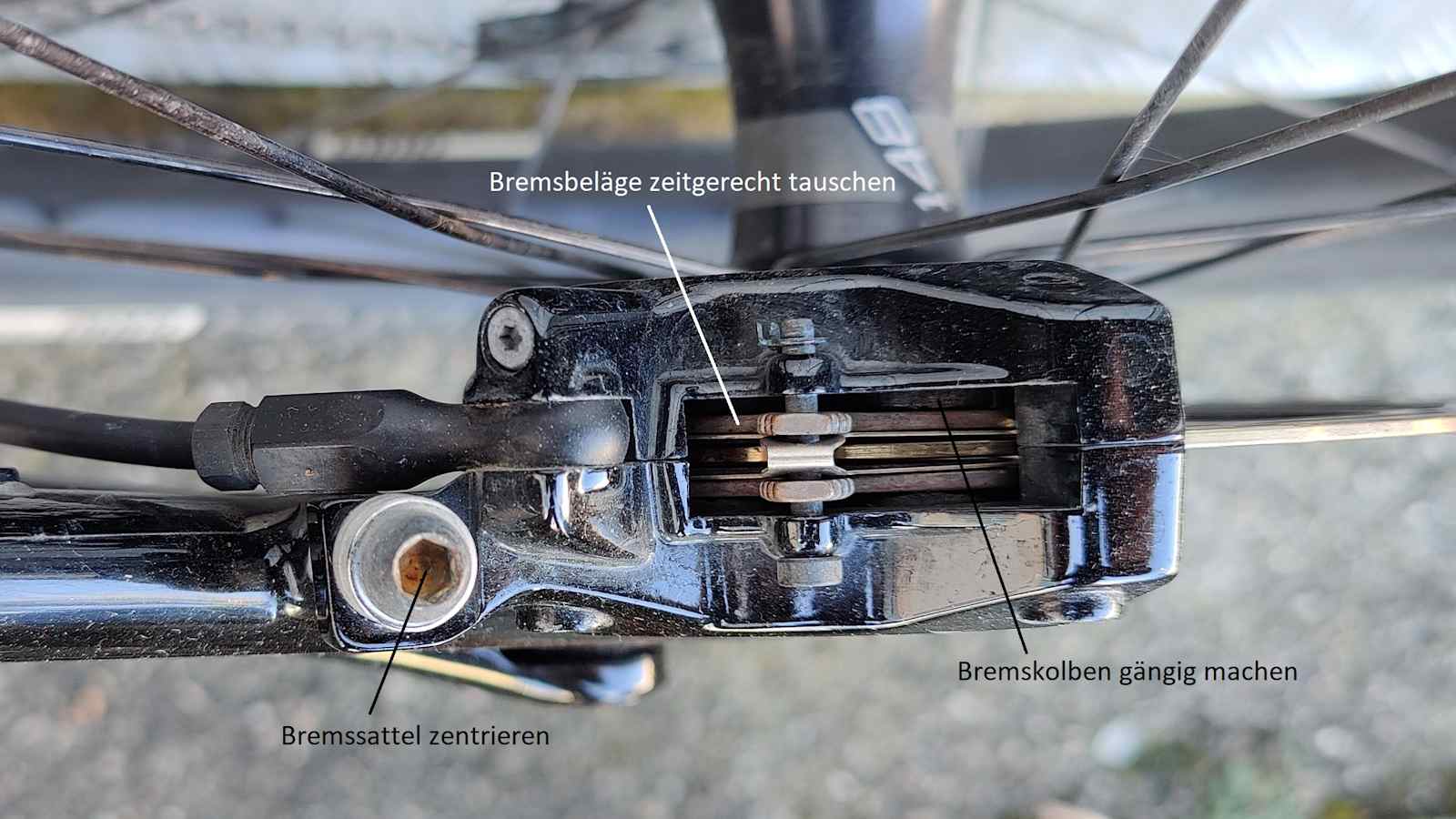 Bremskolben, Bremssattel und Bremsbelege eines Mountainbike in Nahaufnahme 