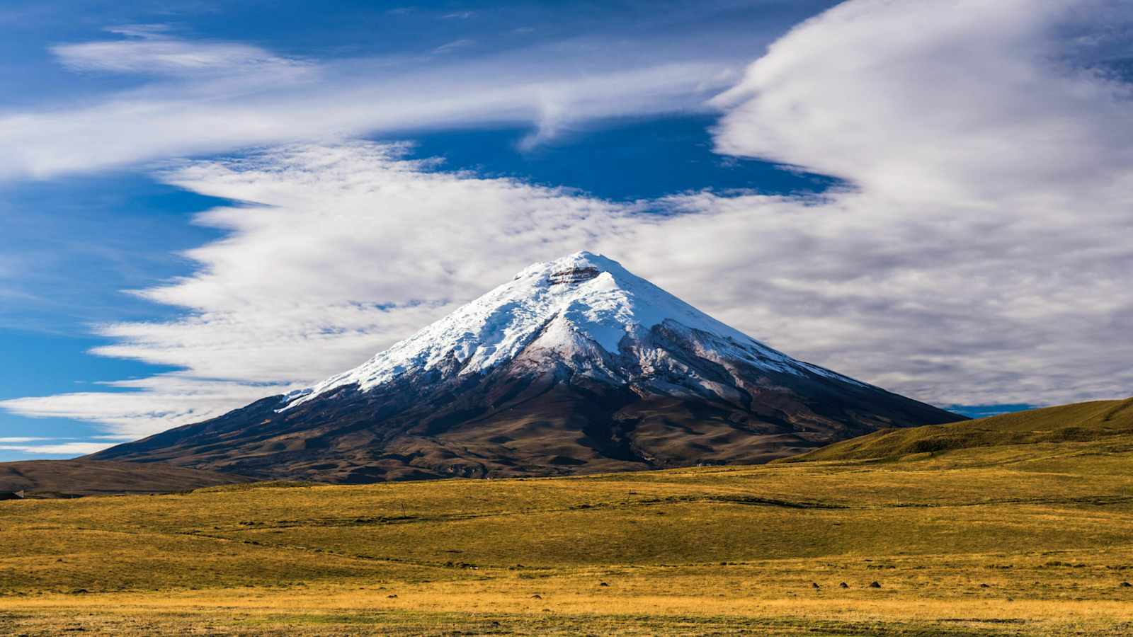 Cotopaxi in den Anden in Ecuador