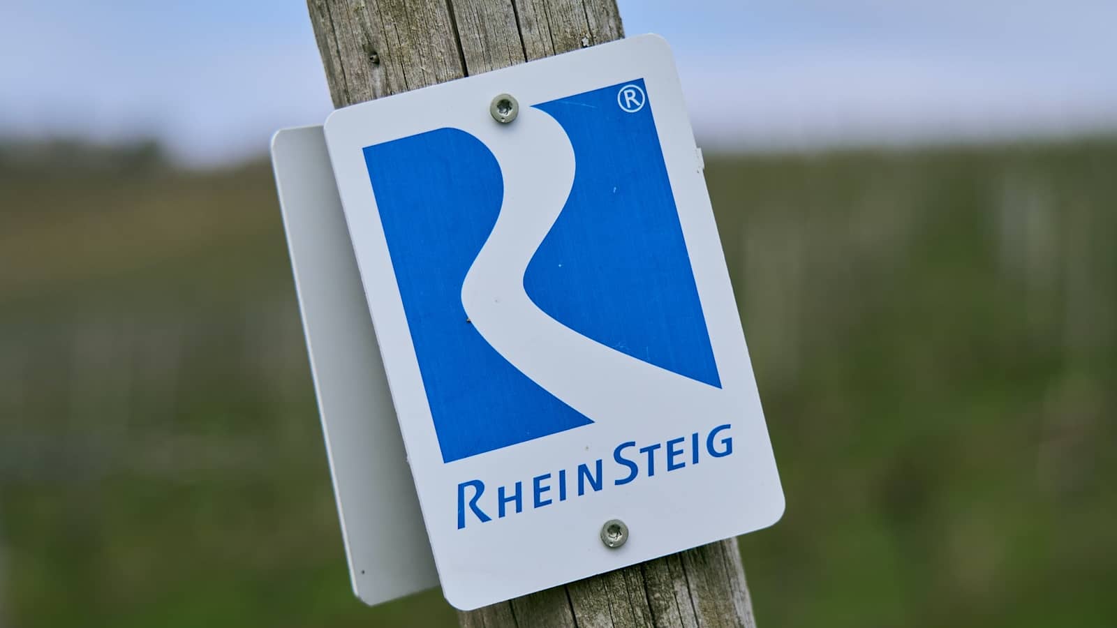 Wegmarkierung am Rheinsteig