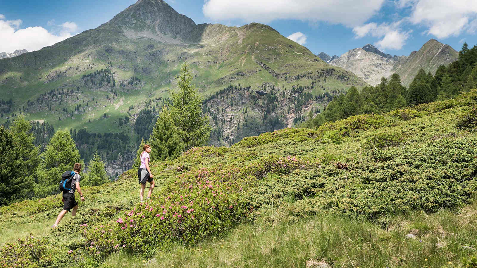 Wanderer vor de Hutner Spitz