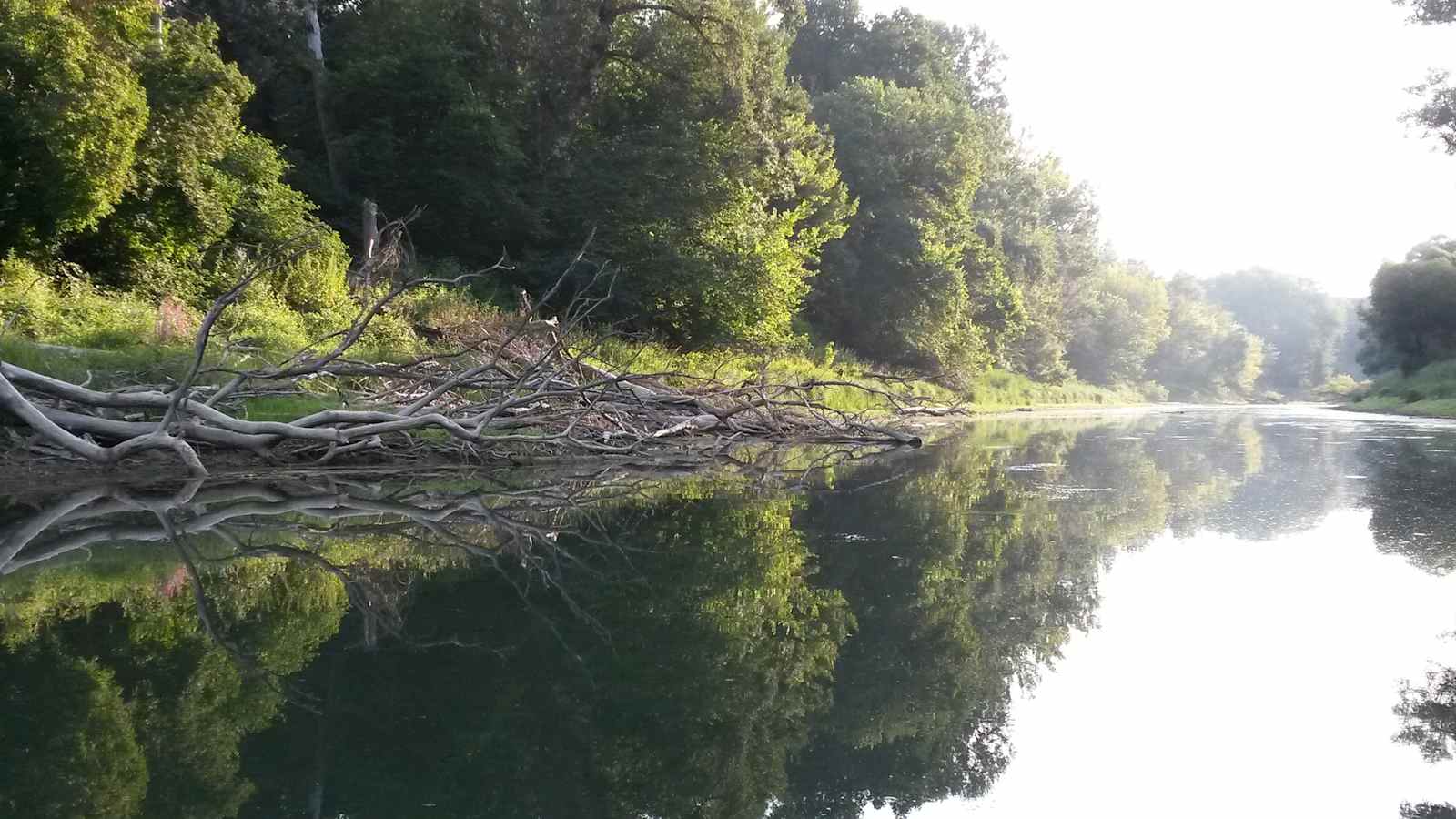 Die Donauauen gelten als eine der letzten Flusslandschaften Europas.