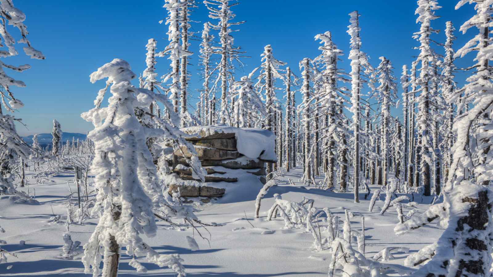 Winterwanderung Dreisessel - Hochkamm, Bayerischer Wald