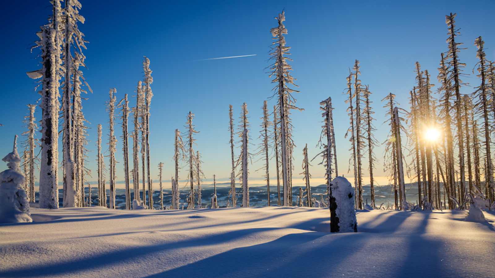 Winterwanderung Dreisessel - Hochkamm, Bayerischer Wald