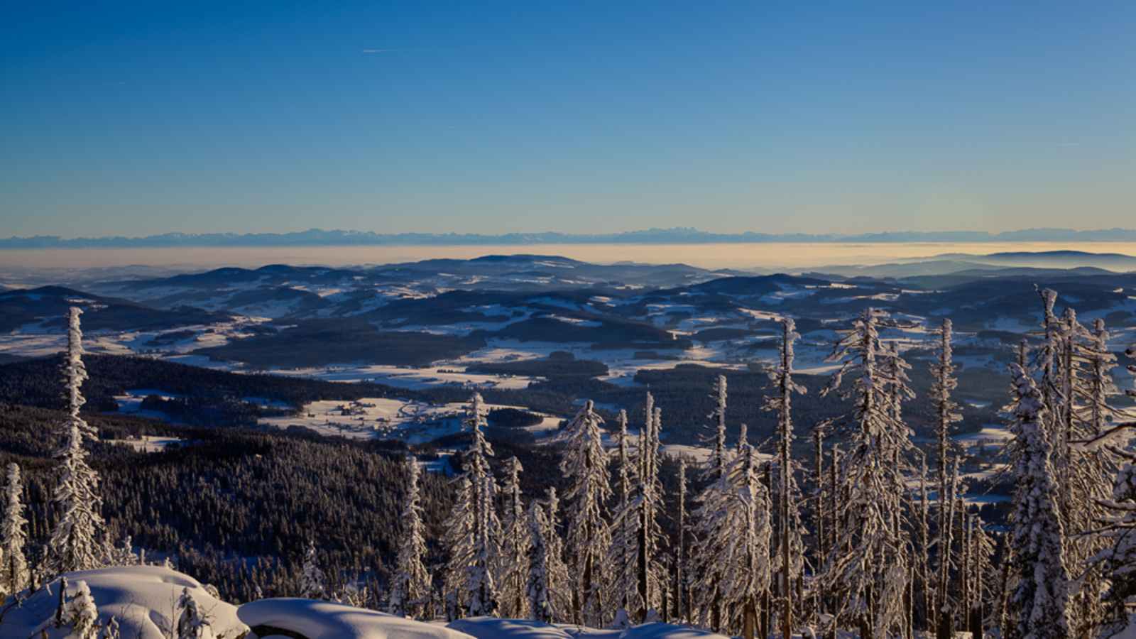 Winterwanderung Dreisessel - Hochkamm, Bayerischer Wald