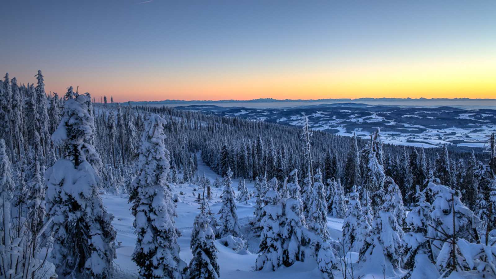 Winterwanderung Dreisessel - Hochkamm, Bayerischer Wald