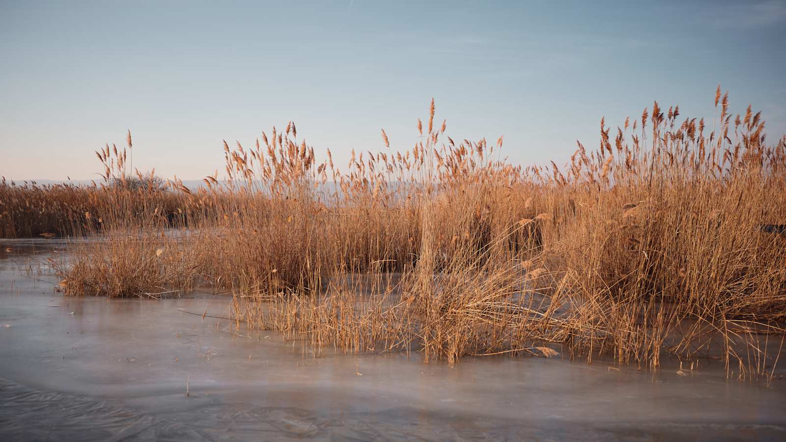 Winterstimmung am See