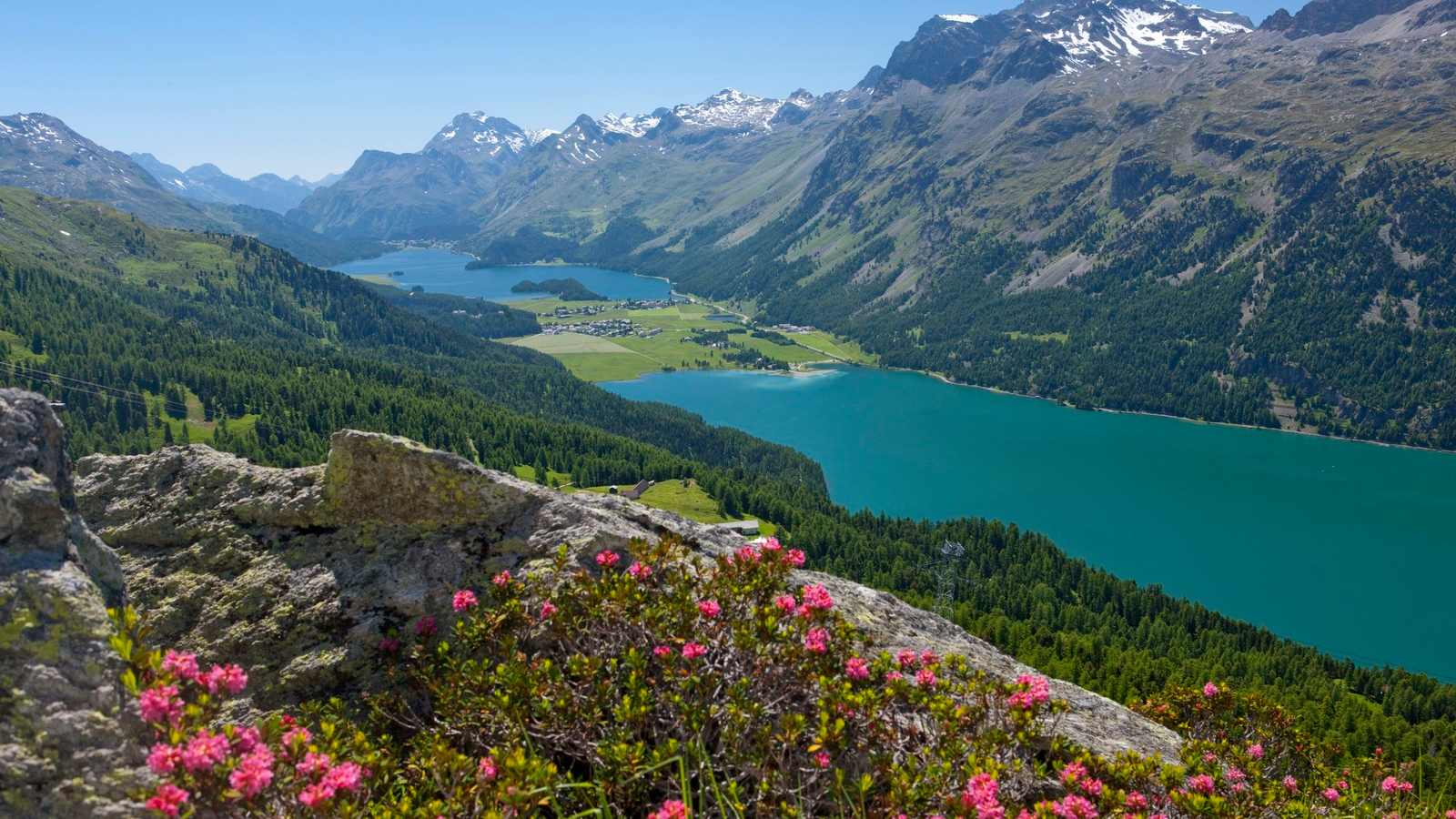 Silvaplanersee, Silsersee, Sils und die umliegenden Berge