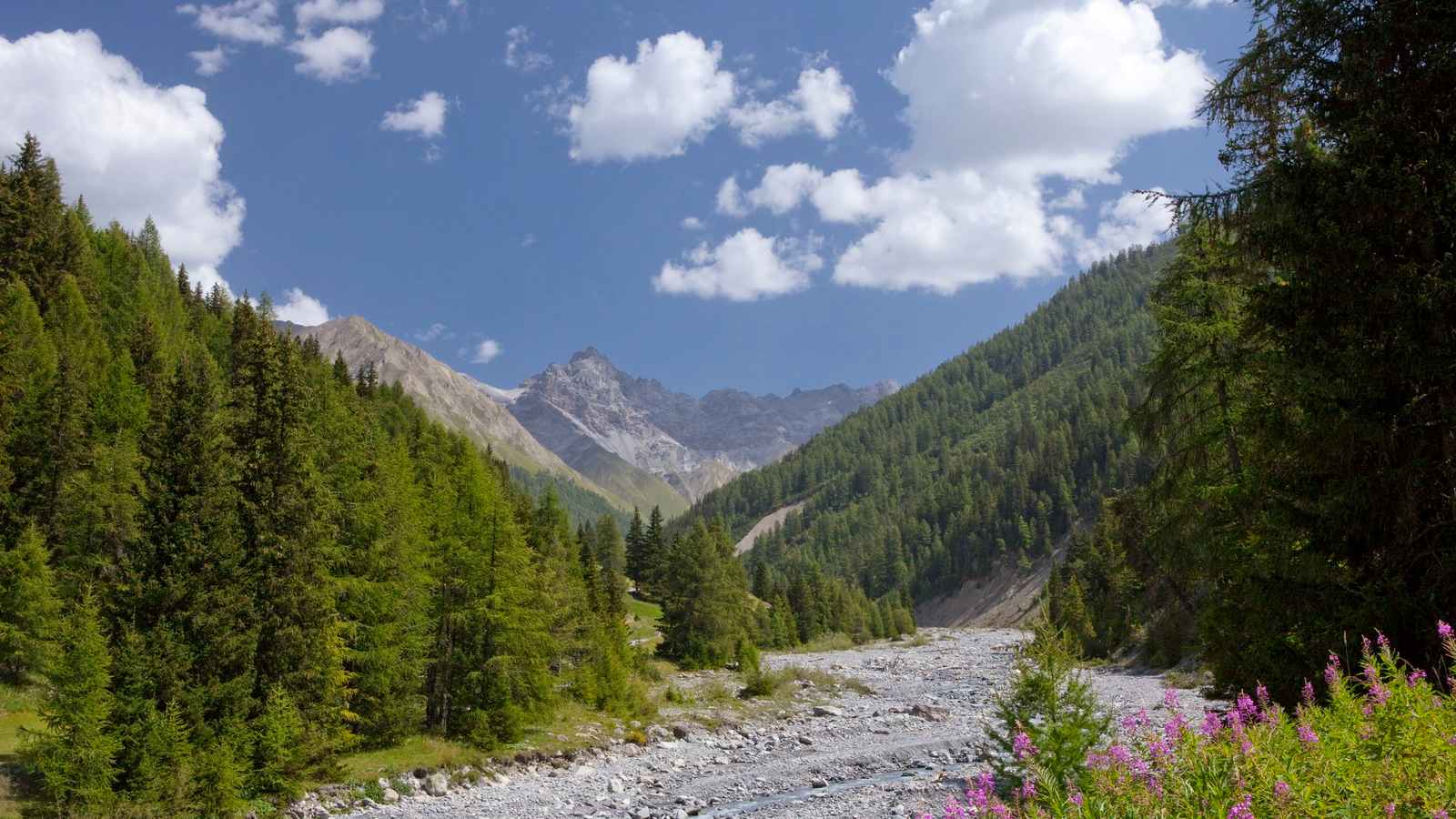 Val Trupchun im Schweizerischen Nationalpark